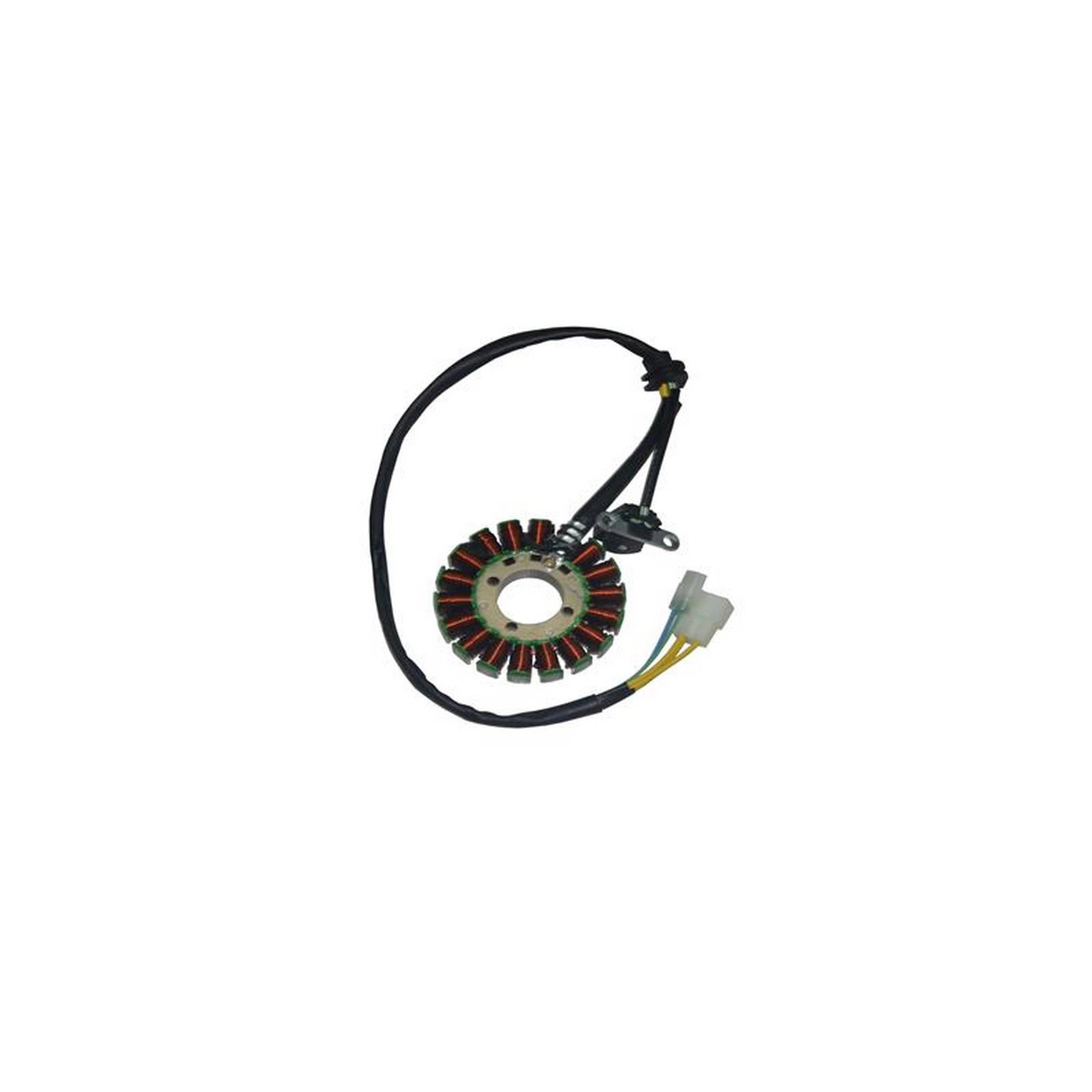RKS TNT 202 STATÖR [TERRA125] #RK 36703